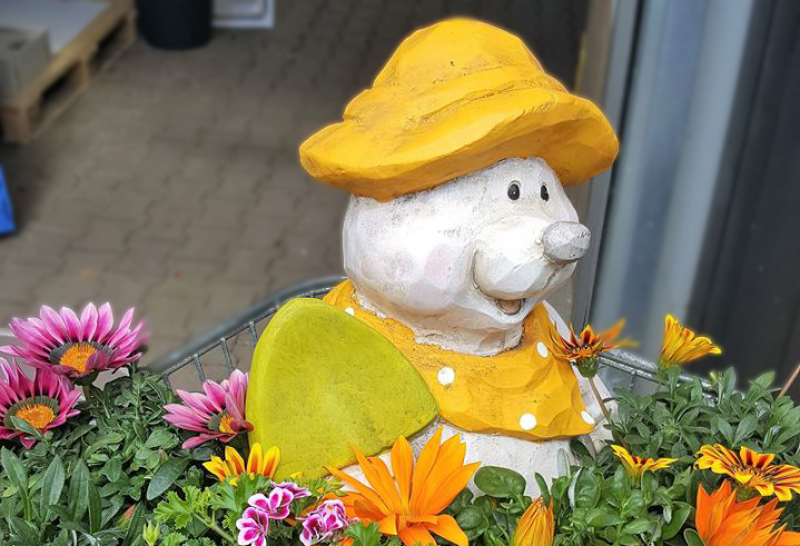 urlaub buchen