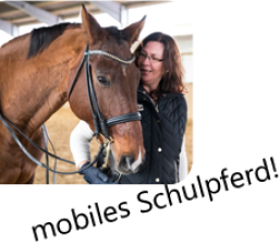 Reiten lehren Königswinter