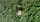 Camping, Holliday, Camper, Rhine, Siebengebirge